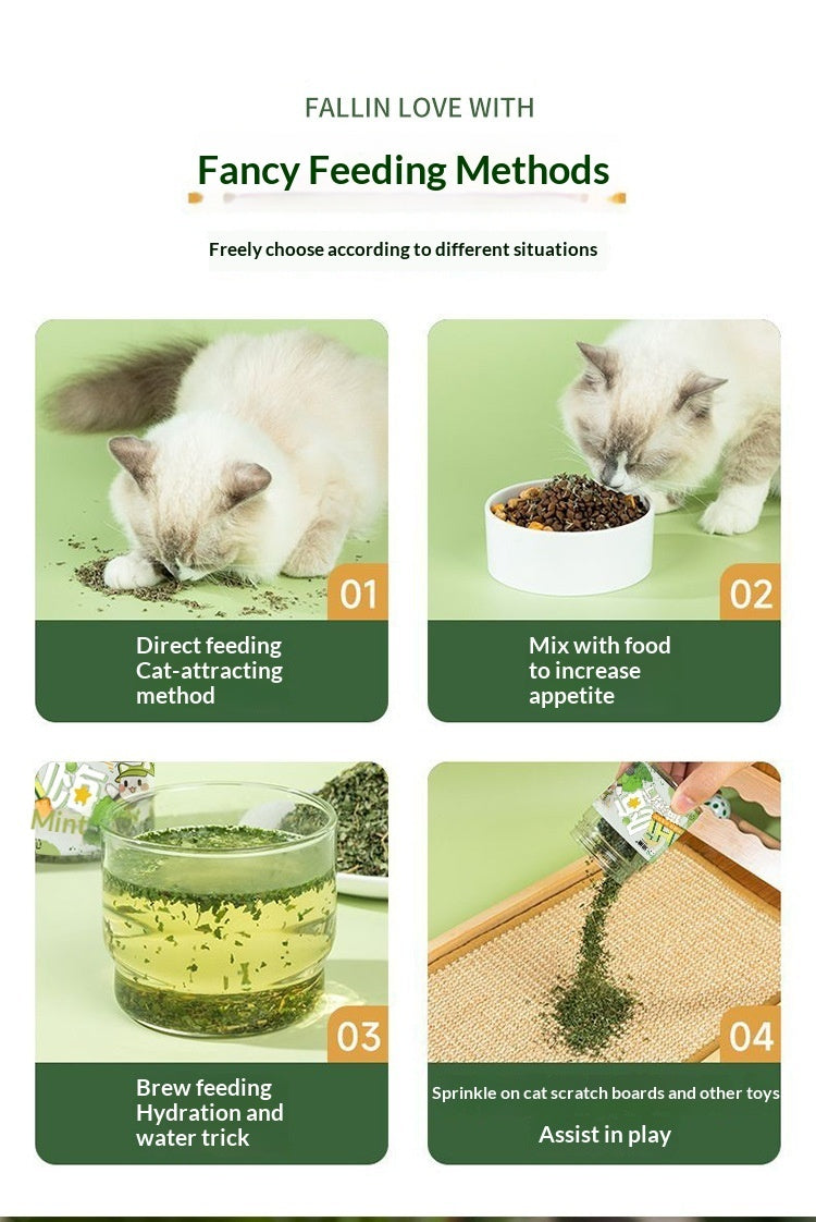 Why Your Cat Deserves the Best: Introducing Catnip Grass Leaves Pet Treats